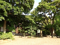 日記の画像
