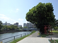 日記の画像
