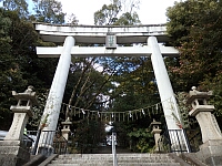 日記の画像