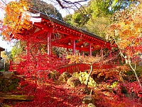 日記の画像