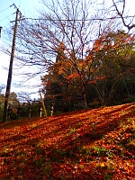 日記の画像