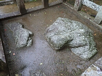 日記の画像