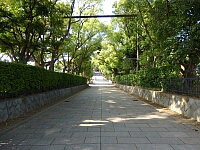 日記の画像