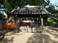 日記の画像