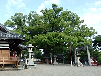 日記の画像