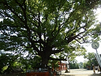 日記の画像