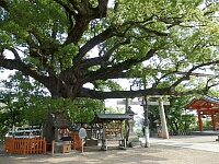 日記の画像