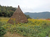 日記の画像