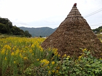 日記の画像