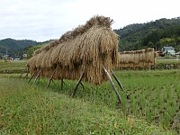 日記の画像