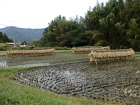日記の画像