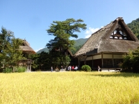 日記の画像
