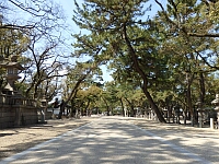 日記の画像