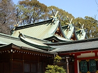 日記の画像