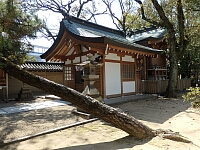 日記の画像