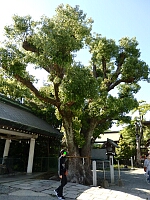 日記の画像