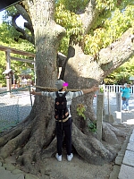 日記の画像