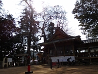 日記の画像