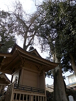 日記の画像