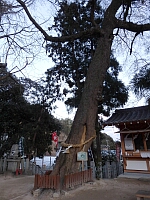 日記の画像