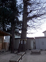 日記の画像