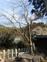 日記の画像