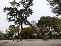 日記の画像