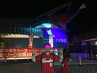 日記の画像