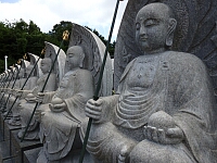 日記の画像