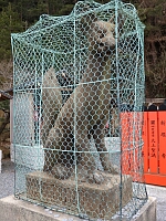 日記の画像
