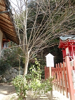 日記の画像