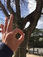 日記の画像