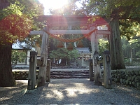 日記の画像