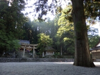 日記の画像