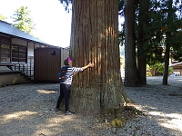 日記の画像