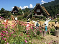 日記の画像