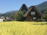 日記の画像