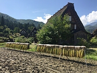 日記の画像