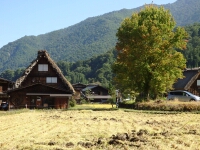 日記の画像