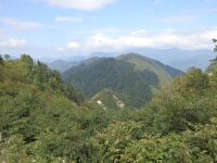 日記の画像