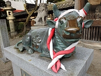 日記の画像