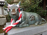日記の画像