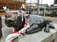 日記の画像