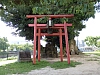 一覧の画像
