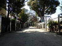 日記の画像