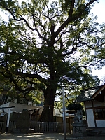 日記の画像