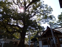 日記の画像