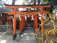 日記の画像