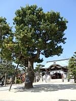 日記の画像