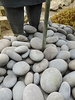 日記の画像